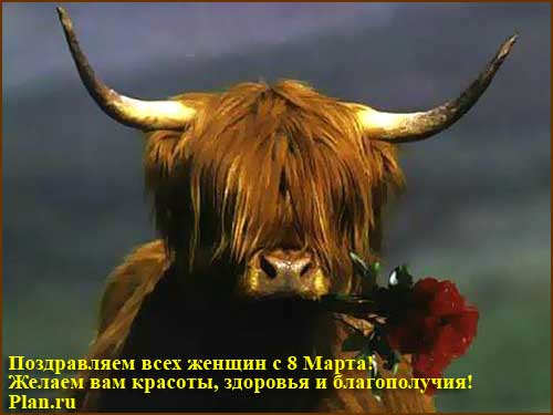 Поздравляем всех женщин с праздником 8 Марта!